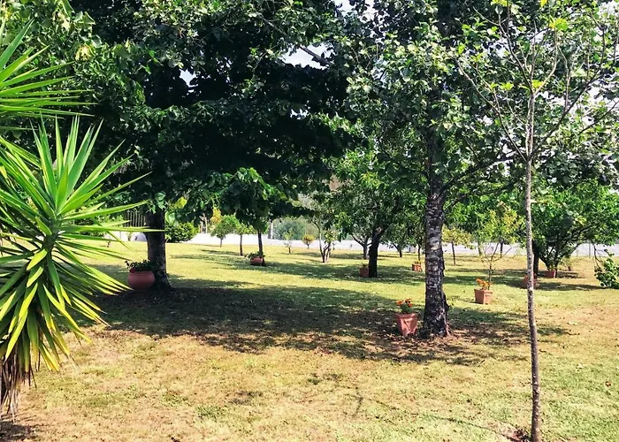 Casa Da Barrosa كامينيا