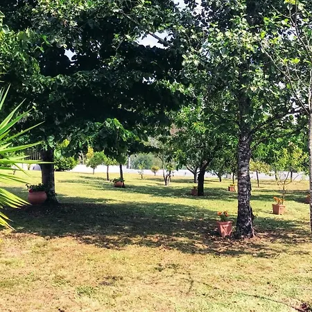 Casa Da Barrosa Каминья